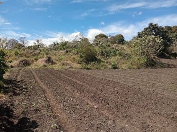 Terreno Comercial en venta en Cartago, Costa Rica — foto 6