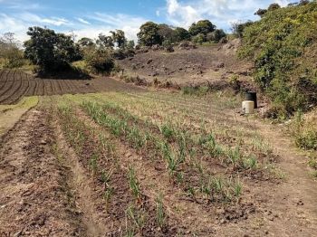 Terreno Comercial en venta en Cartago, Costa Rica — foto 7