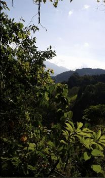 Residential Lot for sale in La Joya, Tarbaca, Aserrí, San José, Costa Rica — photo 4