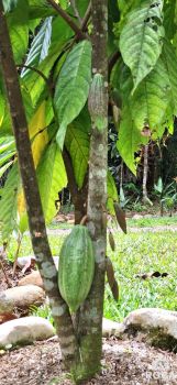 Casa dos Plantas en venta en Miravalles, Pérez Zeledón, San José, Costa Rica — foto 18