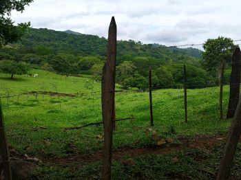 Terreno para Desarrollo en venta en Basilla de Mora, Mora, San José, Costa Rica — foto 6