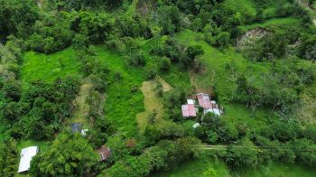 Mixed Use Land for sale in LOS ANGELES DE LIMONCITO, Coto Brus, Puntarenas, Costa Rica — photo 5