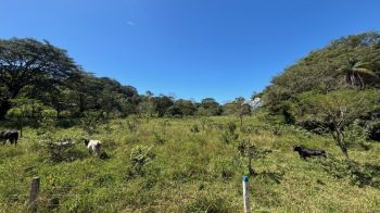 Development Land for sale in Los Ángeles, Atenas, Alajuela, Costa Rica — photo 2