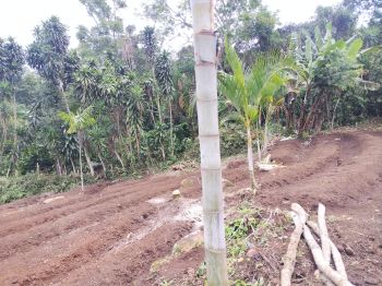 Terreno Para Vivienda en venta en Mercedes Norte, Puriscal, San José, Costa Rica — foto 4
