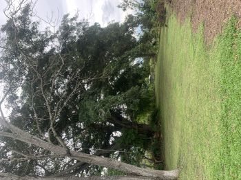 Development Land for sale in San José Sur, Atenas, Alajuela, Costa Rica — photo 2