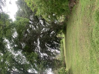 Development Land for sale in San José Sur, Atenas, Alajuela, Costa Rica — photo 3