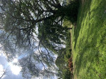 Development Land for sale in San José Sur, Atenas, Alajuela, Costa Rica — photo 4