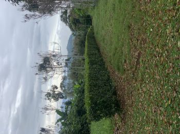 Development Land for sale in San José Sur, Atenas, Alajuela, Costa Rica — photo 6