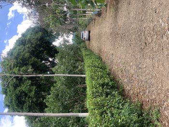 Development Land for sale in San José Sur, Atenas, Alajuela, Costa Rica — photo 7