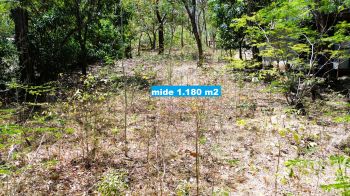 Terreno Para Vivienda en venta en Sardinal, Carrillo, Guanacaste, Costa Rica — foto 3