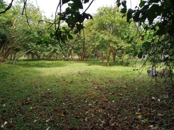 Raw Land for sale in Las Quebradas, Santo Domingo, Heredia, Costa Rica — photo 3