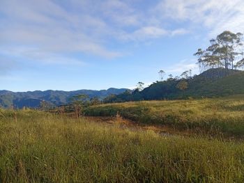 Finca Agroindustrial en venta en SAN MARCOS, Tarrazú, San José, Costa Rica — foto 2