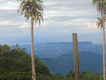 Finca Agroindustrial en venta en SAN MARCOS, Tarrazú, San José, Costa Rica — foto 6