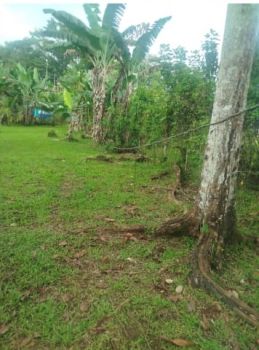 Fincas Uso Mixto en venta en KATIRA, San Carlos, Alajuela, Costa Rica — foto 2