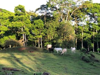 Ecotourism And Sustainable Production Farm Near Rio Celeste