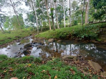Fincas Uso Mixto en venta en KATIRA, San Carlos, Alajuela, Costa Rica — foto 6