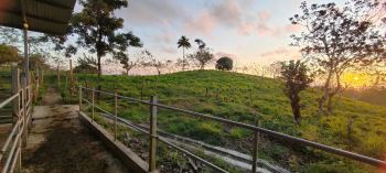 Finca para Ganadería en venta en KATIRA-GUATUSO, San Carlos, Alajuela, Costa Rica — foto 4