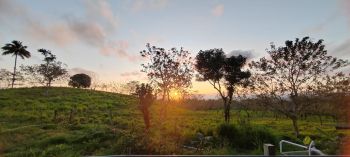 Finca para Ganadería en venta en KATIRA-GUATUSO, San Carlos, Alajuela, Costa Rica — foto 5