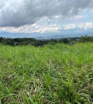 Finca para Ganadería en venta en POAS, Poás, Alajuela, Costa Rica — foto 5