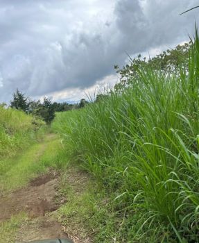 Finca para Ganadería en venta en POAS, Poás, Alajuela, Costa Rica — foto 6