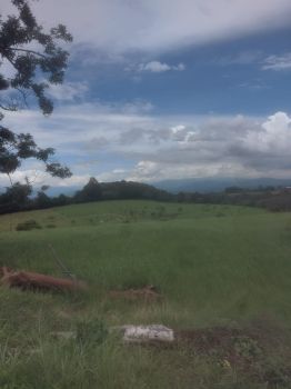 Finca para Ganadería en venta en POAS, Poás, Alajuela, Costa Rica — foto 7