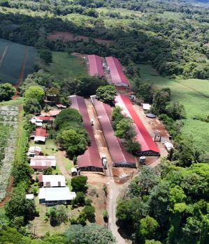 Raw Land for sale in Rio Cuarto, Río Cuarto, Alajuela, Costa Rica — photo 7