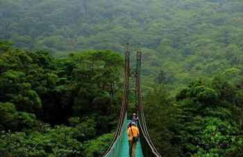 Hostelería en venta en MONTEVERDE, Bagaces, Guanacaste, Costa Rica — foto 4