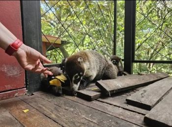 Hostelería en venta en MONTEVERDE, Bagaces, Guanacaste, Costa Rica — foto 6