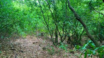 Commercial Land for sale in EL COCO POR EL AEROPUERTO, Alajuela, Costa Rica — photo 2