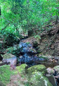 Commercial Land for sale in EL COCO POR EL AEROPUERTO, Alajuela, Costa Rica — photo 5
