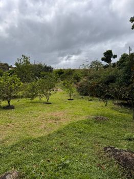 Fincas Uso Mixto en venta en GUAPILES - BELLA VISTA, Sarapiquí, Heredia, Costa Rica — foto 6