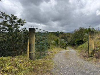 Fincas Uso Mixto en venta en GUAPILES - BELLA VISTA, Sarapiquí, Heredia, Costa Rica — foto 7