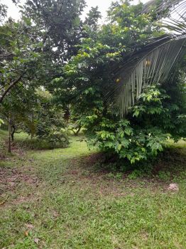 Raw Land for sale in La Angostura Santiago, San Ramón, Alajuela, Costa Rica — photo 2