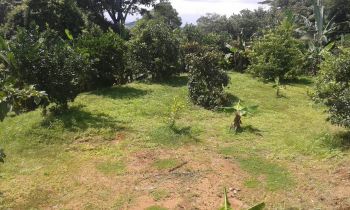 Raw Land for sale in La Angostura Santiago, San Ramón, Alajuela, Costa Rica — photo 3
