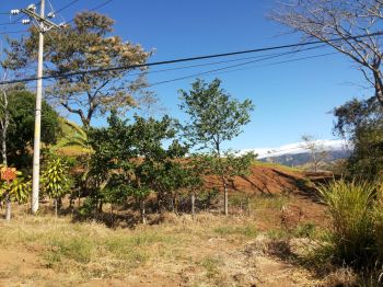 Raw Land for sale in La Angostura Santiago, San Ramón, Alajuela, Costa Rica — photo 4