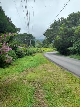 Raw Land for sale in La Angostura Santiago, San Ramón, Alajuela, Costa Rica — photo 5
