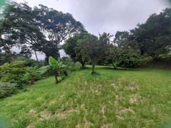 Raw Land for sale in La Angostura Santiago, San Ramón, Alajuela, Costa Rica — photo 7