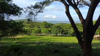 Terreno para Desarrollo en venta en El Jobo de la Cruz, La Cruz, Guanacaste, Costa Rica — foto 6