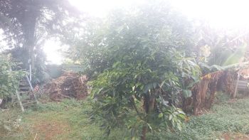 Multifamiliar en venta en El Bajito, San José de la Montaña, Barva, Heredia, Costa Rica — foto 6