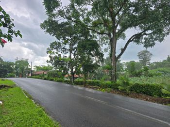 Hacienda en venta en Santa Clara, Camino a Javillos, San Carlos, Alajuela, Costa Rica — foto 4