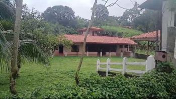 Hacienda en venta en Santa Clara, Camino a Javillos, San Carlos, Alajuela, Costa Rica — foto 5