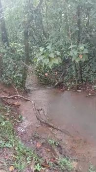 Hacienda en venta en Santa Clara, Camino a Javillos, San Carlos, Alajuela, Costa Rica — foto 7