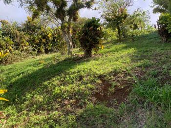 Residential Lot for sale in dulce nombre, Cartago, Costa Rica — photo 4