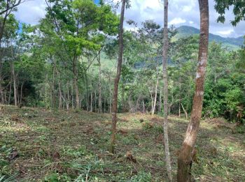 Fincas Uso Mixto en venta en Santa Marta de Quebradas, Pérez Zeledón, San José, Costa Rica — foto 6