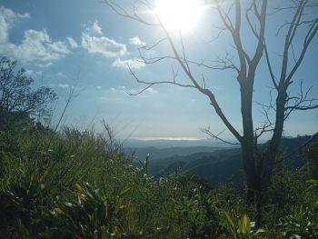 Residential Lot for sale in Estanquillo, San Mateo, Alajuela, Costa Rica — photo 4