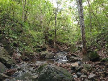Fincas Uso Mixto en venta en Cuajiniquil, Santa Elena, La Cruz, Guanacaste, Costa Rica — foto 4