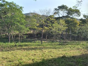 Fincas Uso Mixto en venta en Cuajiniquil, Santa Elena, La Cruz, Guanacaste, Costa Rica — foto 5