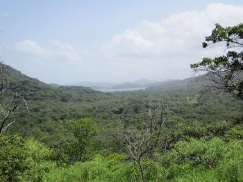 Fincas Uso Mixto en venta en Cuajiniquil, Santa Elena, La Cruz, Guanacaste, Costa Rica — foto 6