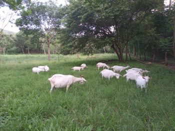 Fincas Uso Mixto en venta en Cuajiniquil, Santa Elena, La Cruz, Guanacaste, Costa Rica — foto 7