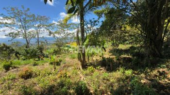 Terreno General en venta en Miravalles, Pérez Zeledón, San José, Costa Rica — foto 6